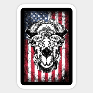 Patriotic Camel American Flag Sticker